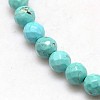 Natural Howlite Round Beads Strands TURQ-L017-4mm-01B-2