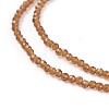 Transparent Glass Beads Strands GLAA-F094-A19-3