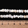 Natural Freshwater Shell Beads Strands SHEL-N037-04K-4