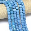 Natural Malaysia Jade Beads Strands G-B165-F10-10x10mm-1