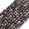Natural Gemstone Beads Strands G-H067-A01-8mm-2