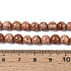 Natural Wood Lace Stone Wooden Jasper Beads Strands G-T143-30A-02-4