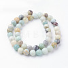 Natural Flower Amazonite Bead Strands G-G735-61-8mm-2