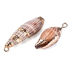 Electroplate Natural Spiral Shell Pendants SSHEL-Q100-49G-2