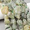 Raw Rough Natural Prehnite Beads Strands G-P528-A05-01A-1