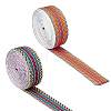 DICOSMETIC 2Pcs 2 Colors Flat Ethnic Style Polyester Stripe Ribbon SRIB-DC0001-01-1