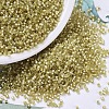 MIYUKI Delica Beads SEED-X0054-DB0687-1
