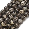 Natural Astroite Jasper Beads Strands G-F814-A01-10mm-2
