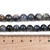 Natural Kyanite/Cyanite/Disthene Beads Strands G-G272-A01-8mm-9