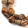 Natural Picture Jasper 3-Hole Guru Beads Strands G-H064-E06-01-4