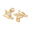 Brass Pendants KK-H297-06G-3