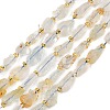 Raw Rough Natural White Topaz Beads Strands G-D101-A15-2