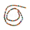 Rainbow Color Natural Freshwater Shell Beads Strands SHEL-M018-08A-2