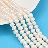 Natural Cultured Freshwater Pearl Beads Strands PEAR-I007-07Y-08A-1