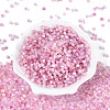 Drawbench Style Glass Seed Beads SEED-Q039-01C-2
