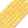 Dyed Natural Freshwater Shell Beads Strands SH-CBA2978-07C-01-1