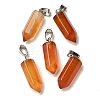 Natural Red Agate(Dyed & Heated) Pendants G-Z067-07P-16-2