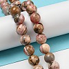 Natural Rhodonite Beads Strands G-R494-A12-03-4