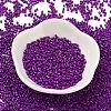 Baking Paint Glass Seed Beads SEED-S042-05B-73-2