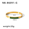 304 Stainless Steel Pave Cubic Zirconia Bangles FS-WG09E60-39-1