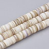 Disc Natural Sea Shell Beads Strands SSHEL-F290-32-2