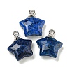 Natural Lapis Lazuli Pendants G-P540-01P-04-1