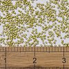 MIYUKI Delica Beads SEED-MY11-DB1154-4