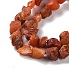 Raw Rough Natural Carnelian Beads Strands G-B065-C22-4