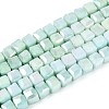Anti-Tarnish Electroplate Glass Beads Strands GLAA-T025-4mm-10B-1