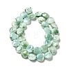 Natural Glass Beads Strands G-I247-33C-3