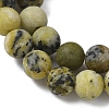 Natural Yellow Turquoise(Jasper) Beads Strands G-H245-02B-3