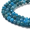 Natural Apatite Beads Strands X-G-J400-E01-02-4