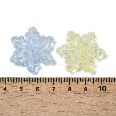 Transparent Crackle Acrylic Beads OACR-B031-05-1