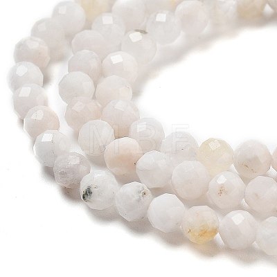 Natural Rainbow Moonstone Beads Strands X-G-G161-A01-03-1