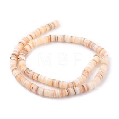 Natural Shell Beads BSHE-B003-13B-02-1