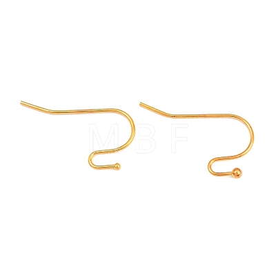 Brass Earring Hooks X-J0JQN-G-NF-1