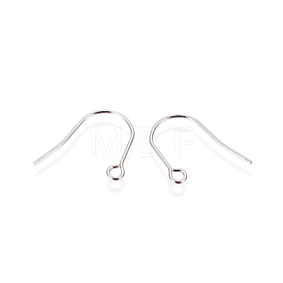 316 Surgical Stainless Steel Earring Hooks X-STAS-F216-03P-B-1