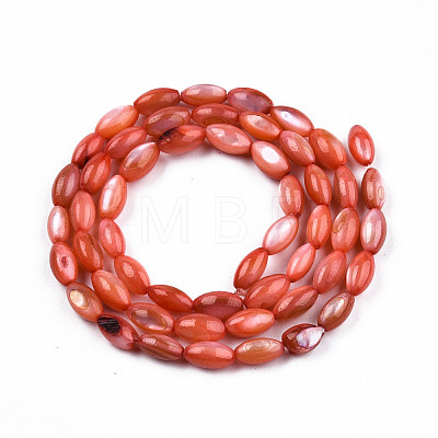 Natural Freshwater Shell Beads Strands SHEL-N026-212-B03-1