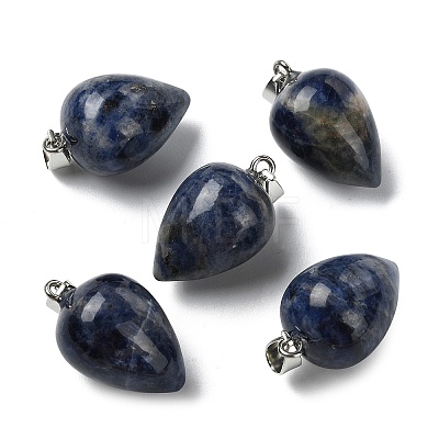 Natural Sodalite Pendants GG-K002-13J-1