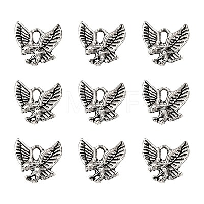 Tibetan Style Alloy Pendants LS-TIBEP-20305-AS-NR-1