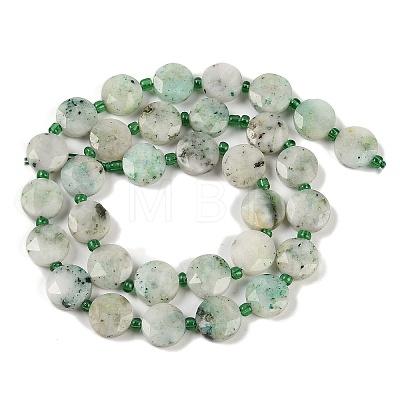 Natural Chrysocolla Beads Strands G-C116-A37-01-1