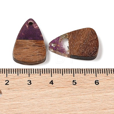 Resin & Wood Pendants WOOD-S061-02I-1