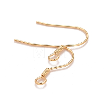 304 Stainless Steel Earrings Hooks STAS-P227-06G-1