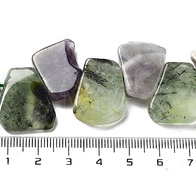 Natural Prehnite & Amethyst Beads Strands G-P528-K08-01-1