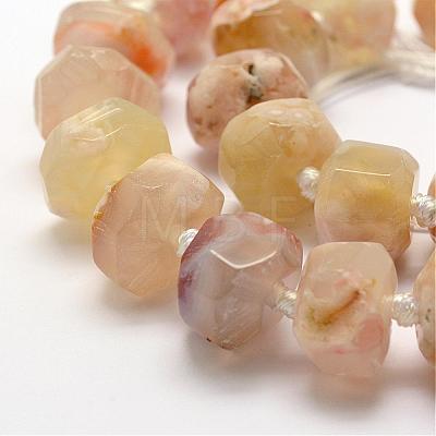 Natural Cherry Blossom Agate Beads Strands G-K195-04A-1