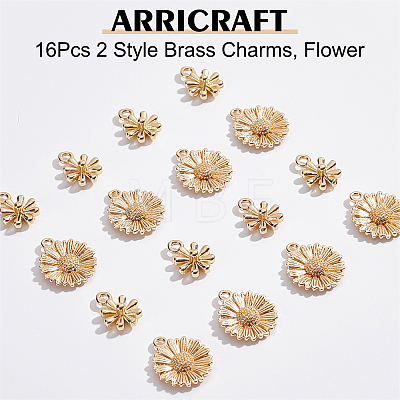 ARRICRAFT 16Pcs 2 Style Brass Charms KK-AR0002-43-1