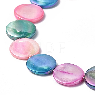 Natural Freshwater Shell Beads Strands X-SHEL-C003-02-1