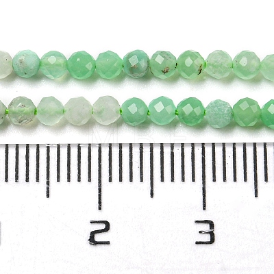 Natural Chrysoprase Beads Strands G-A097-A16-03-1