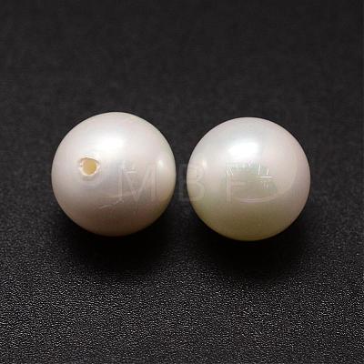 Shell Pearl Beads BSHE-L031-01-12mm-1