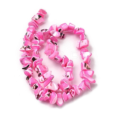 Natural Trochid Shell/Trochus Shell Beads Strands SHEL-B003-02E-1